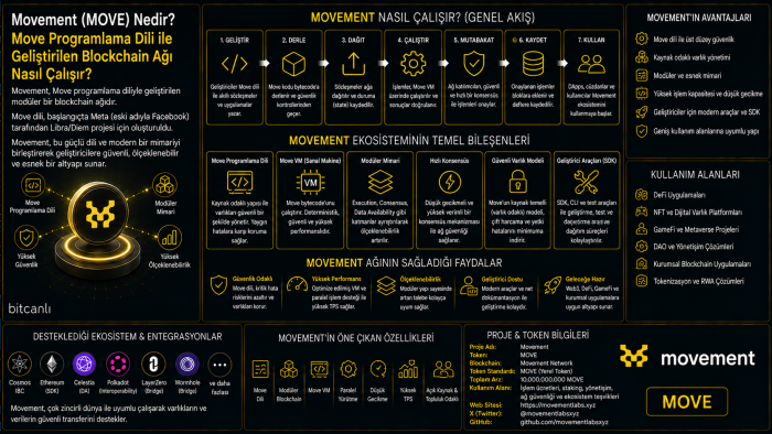 Movement (MOVE) Nedir? Move Programlama Dili ile Geliştirilen Blockchain Ağı Nasıl Çalışır?